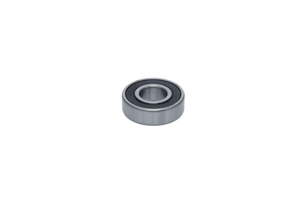 Drive Bearing, alternator (1 986 AE1 307)