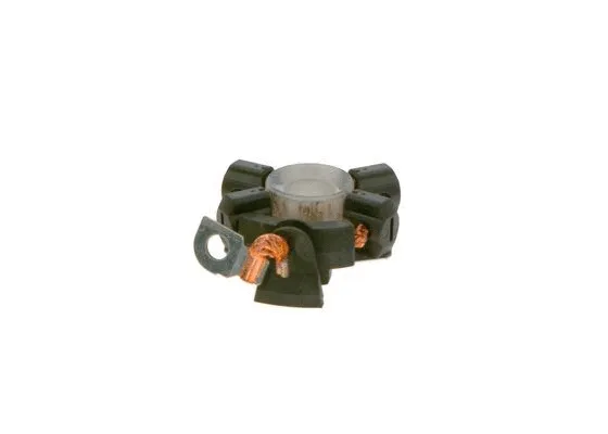 Holder, carbon brushes