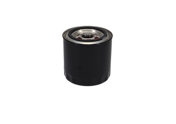 Oil Filter (F 00E 160 071)