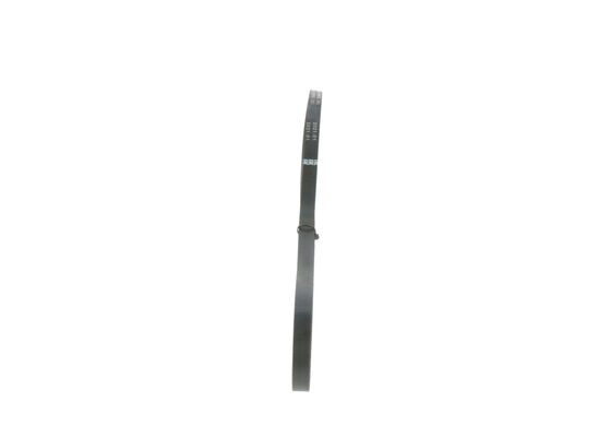 V-Ribbed Belt