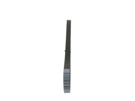 V-Ribbed Belt