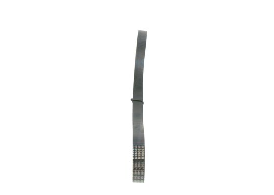 V-Ribbed Belt (1 987 946 154)