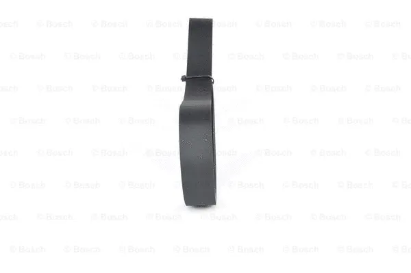 V-Ribbed Belt