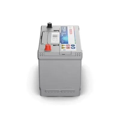 Starter Battery