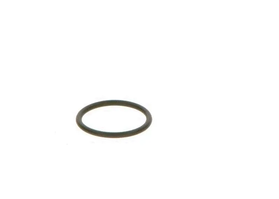 Rubber Ring