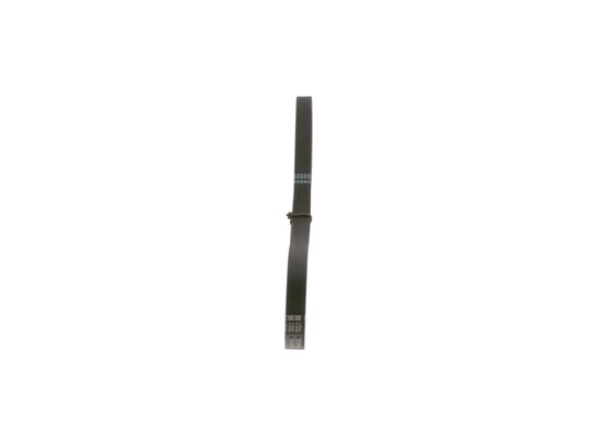 V-Ribbed Belt (1 987 947 888)