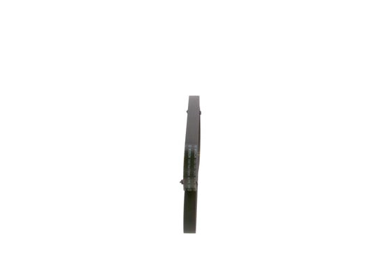 V-Ribbed Belt