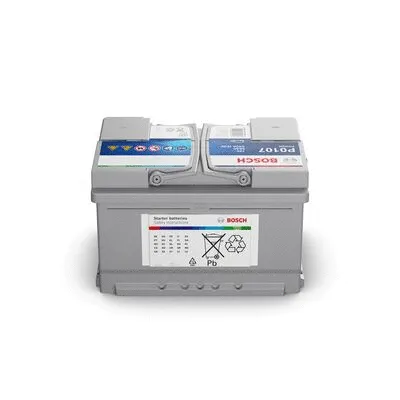 Starter Battery