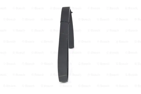 V-Ribbed Belt