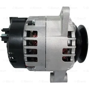 Alternator (F 042 30B 006)