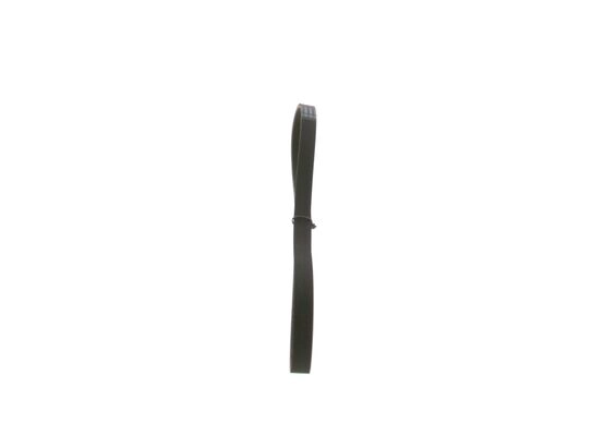 V-Ribbed Belt