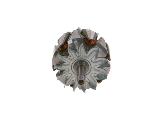 Rotor, alternator