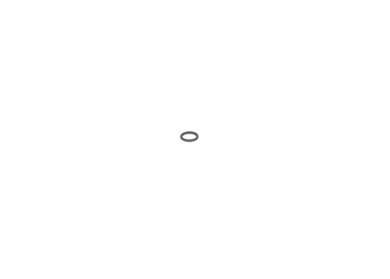 Rubber Ring (2 440 210 010)
