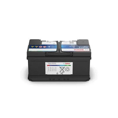 Starter Battery