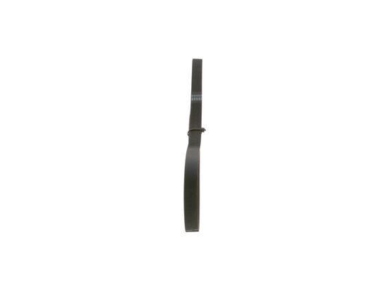 V-Ribbed Belt