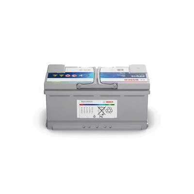 Starter Battery