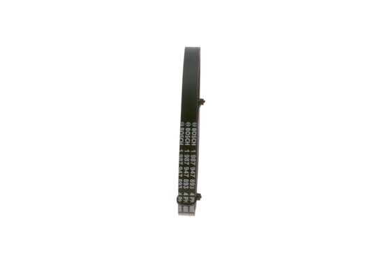 V-Ribbed Belt