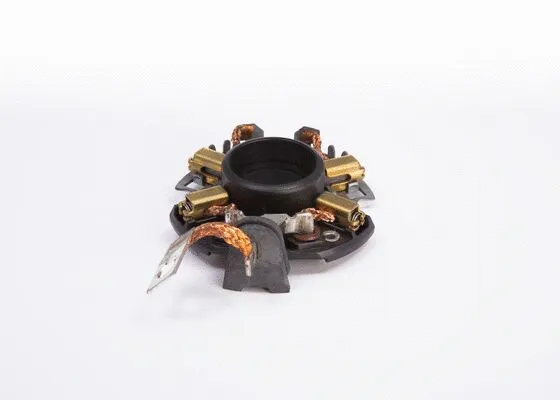 Holder, carbon brushes