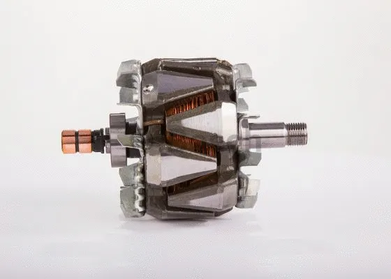 Rotor, alternator