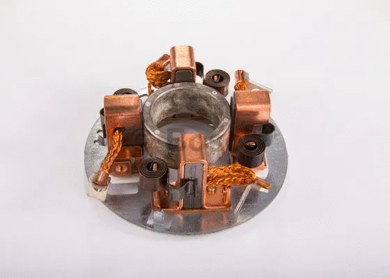 Holder, carbon brushes