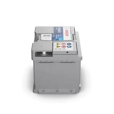 Starter Battery