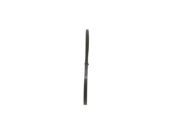V-Ribbed Belt