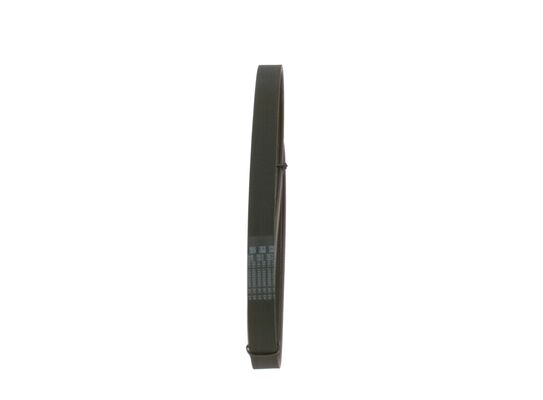 V-Ribbed Belt