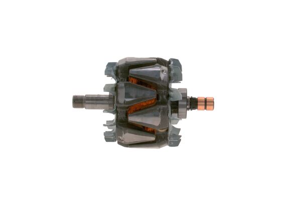 Rotor, alternator
