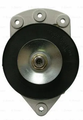 Alternator (F 042 306 031)