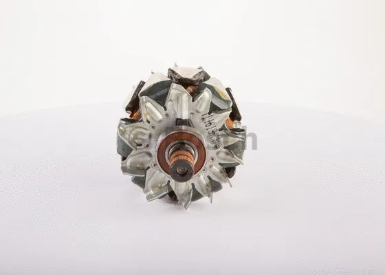 Rotor, alternator