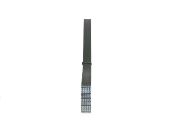 V-Ribbed Belt