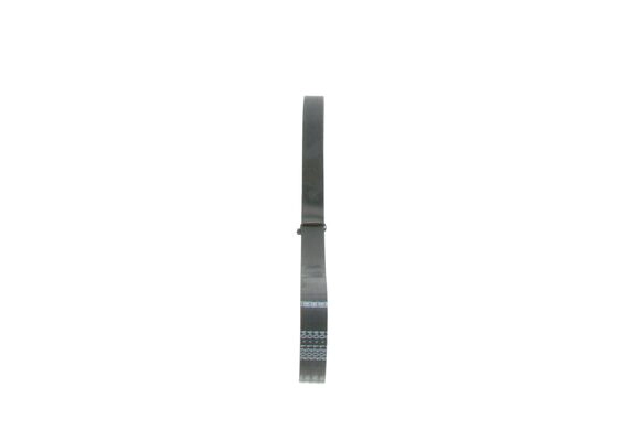 V-Ribbed Belt