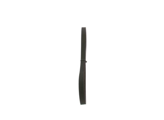V-Ribbed Belt