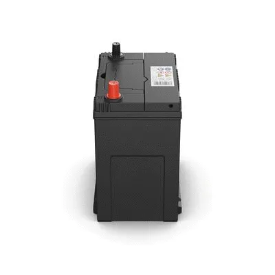 Starter Battery