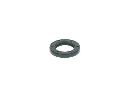 Shaft Seal (2 120 283 004)