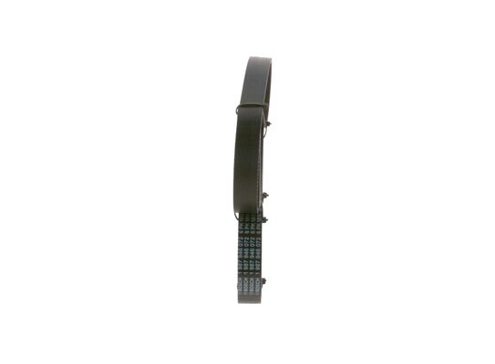 V-Ribbed Belt