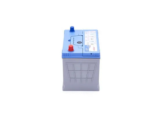 Starter Battery