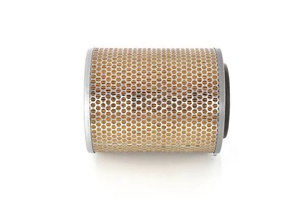 Air Filter (1 457 429 854)