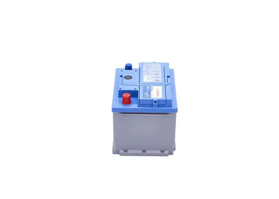 Starter Battery