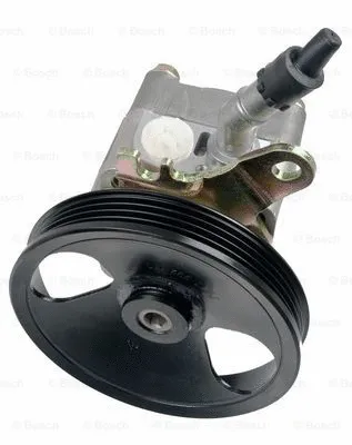 Hydraulic Pump, steering (K S00 000 093)