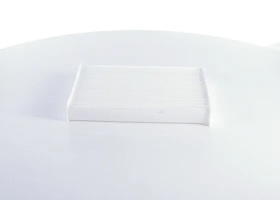 Filter, cabin air (0 986 BF0 718)