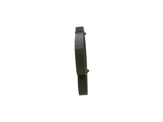 Timing Belt