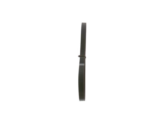 V-Ribbed Belt