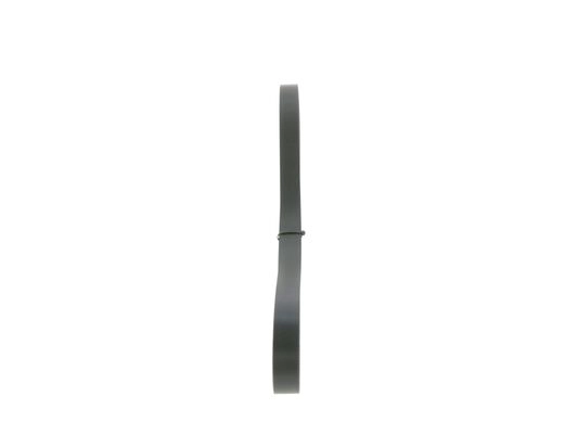 V-Ribbed Belt (1 987 946 032)