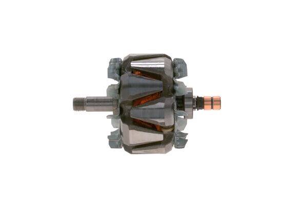 Rotor, alternator