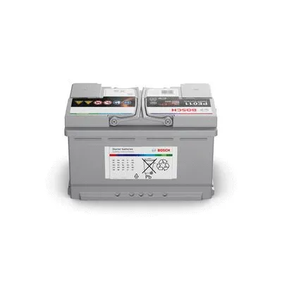 Starter Battery
