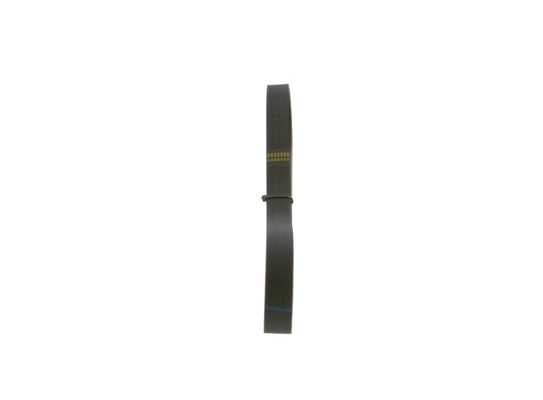 V-Ribbed Belt (1 987 948 342)