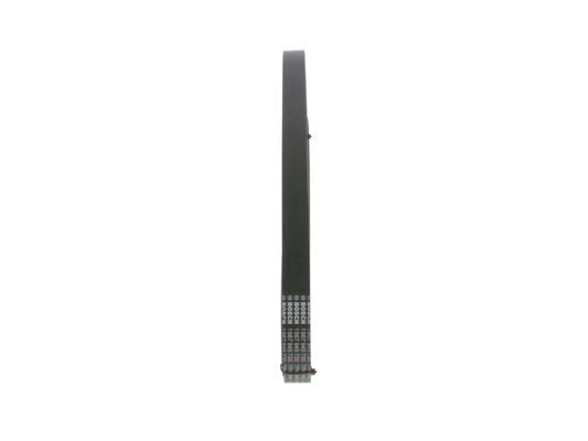 V-Ribbed Belt