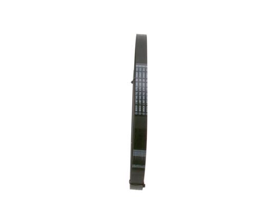 V-Ribbed Belt