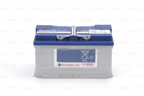 Starter Battery
